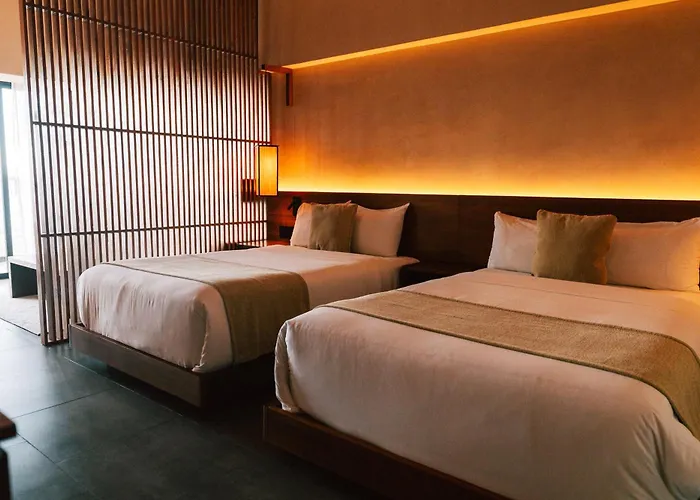 Hive Cancun By G Hotels